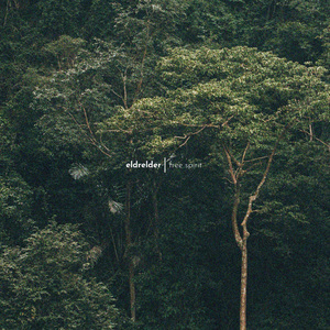 草莓视频污破解
