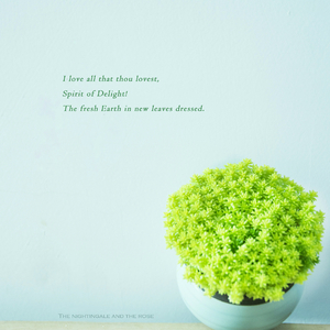 草莓视频污破解
