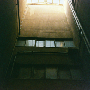 草莓视频污破解
