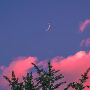 草莓视频污破解
