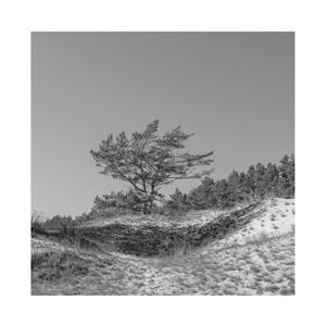 草莓视频污破解
